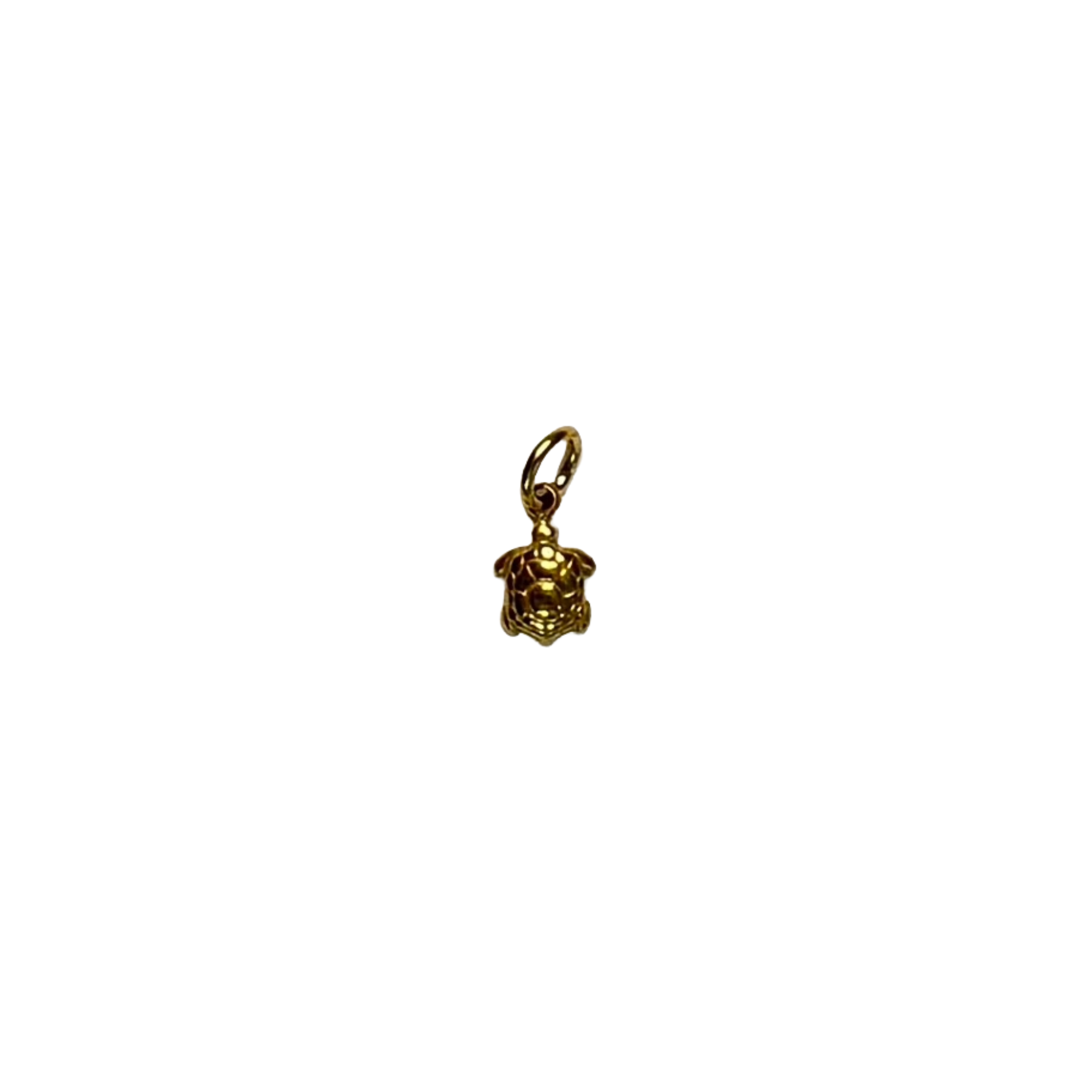 Mini tortoise charm