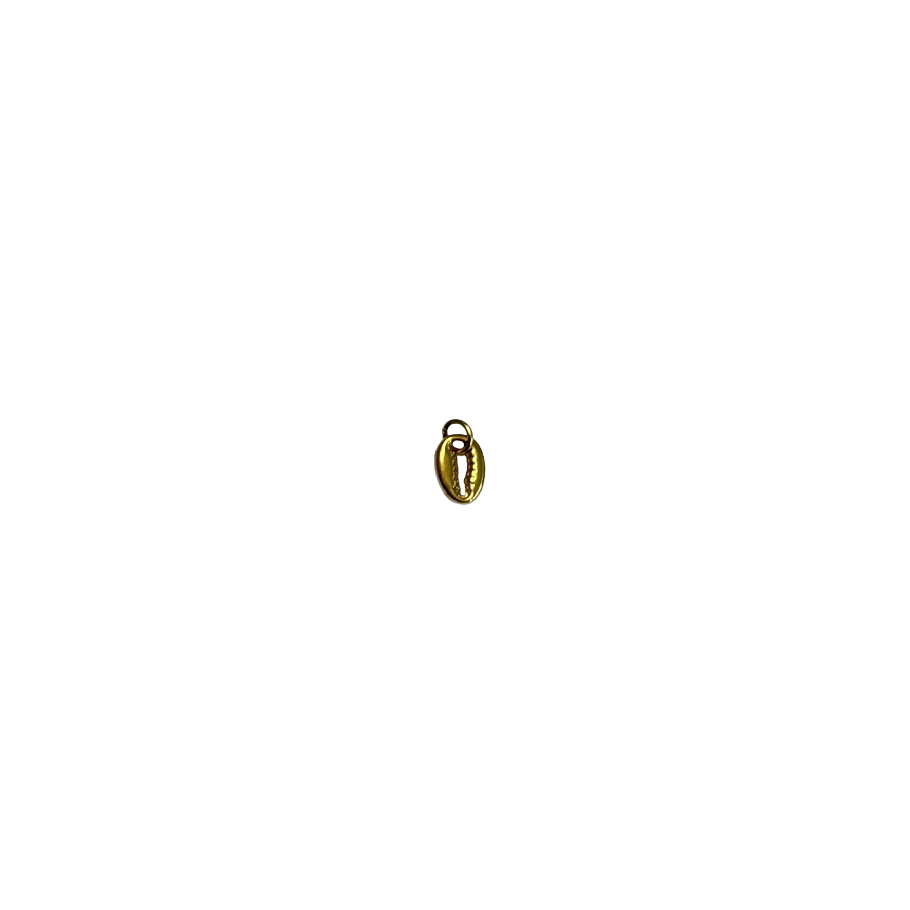 Cowrie shell charm