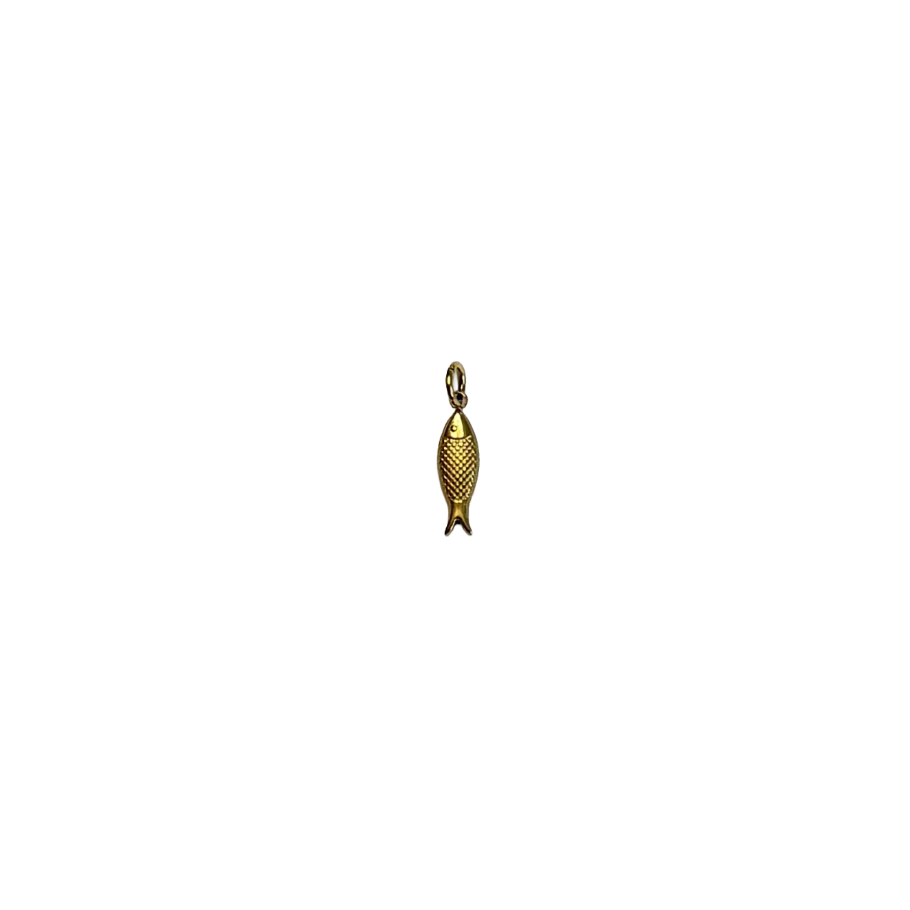 Fish charm