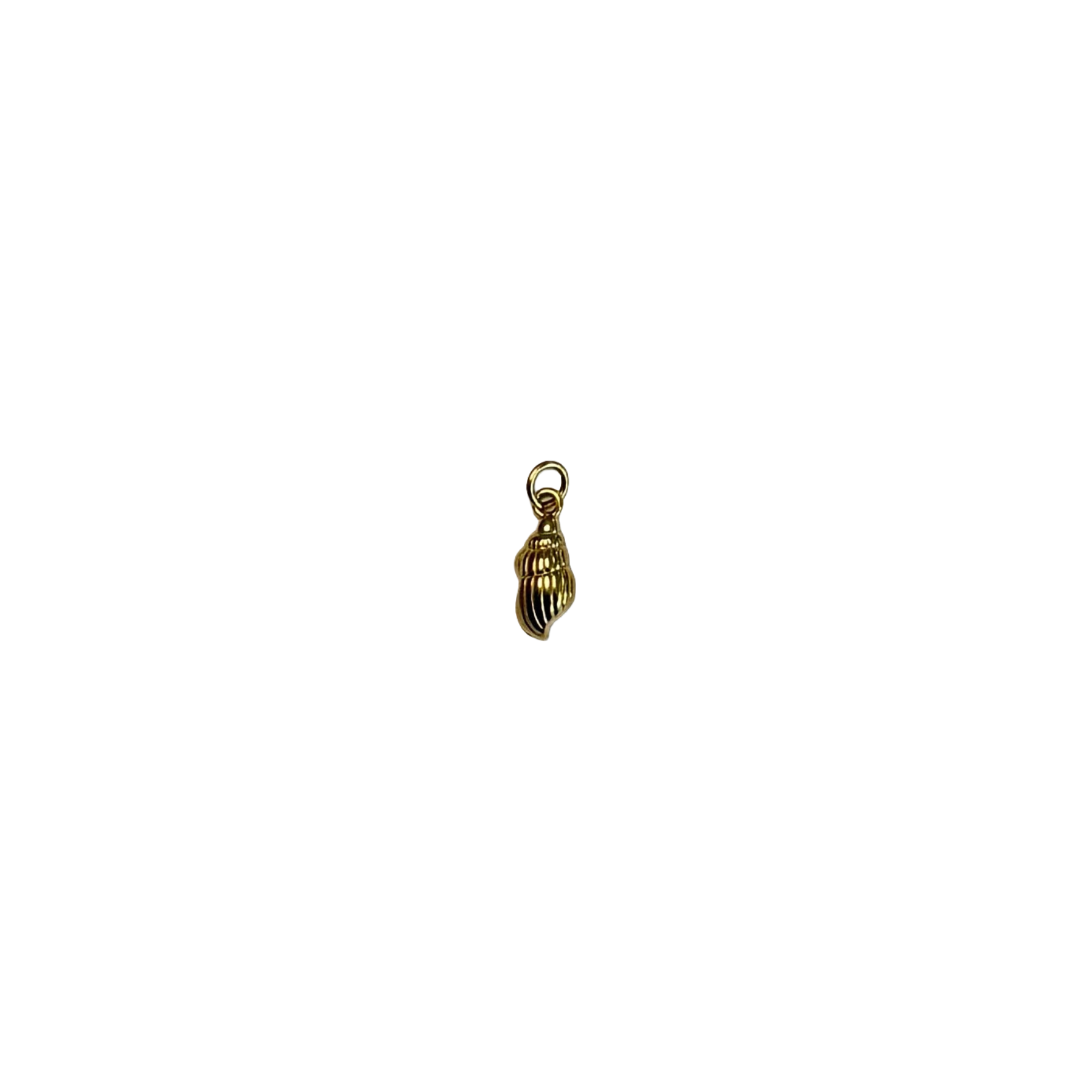 Scallop shell charm