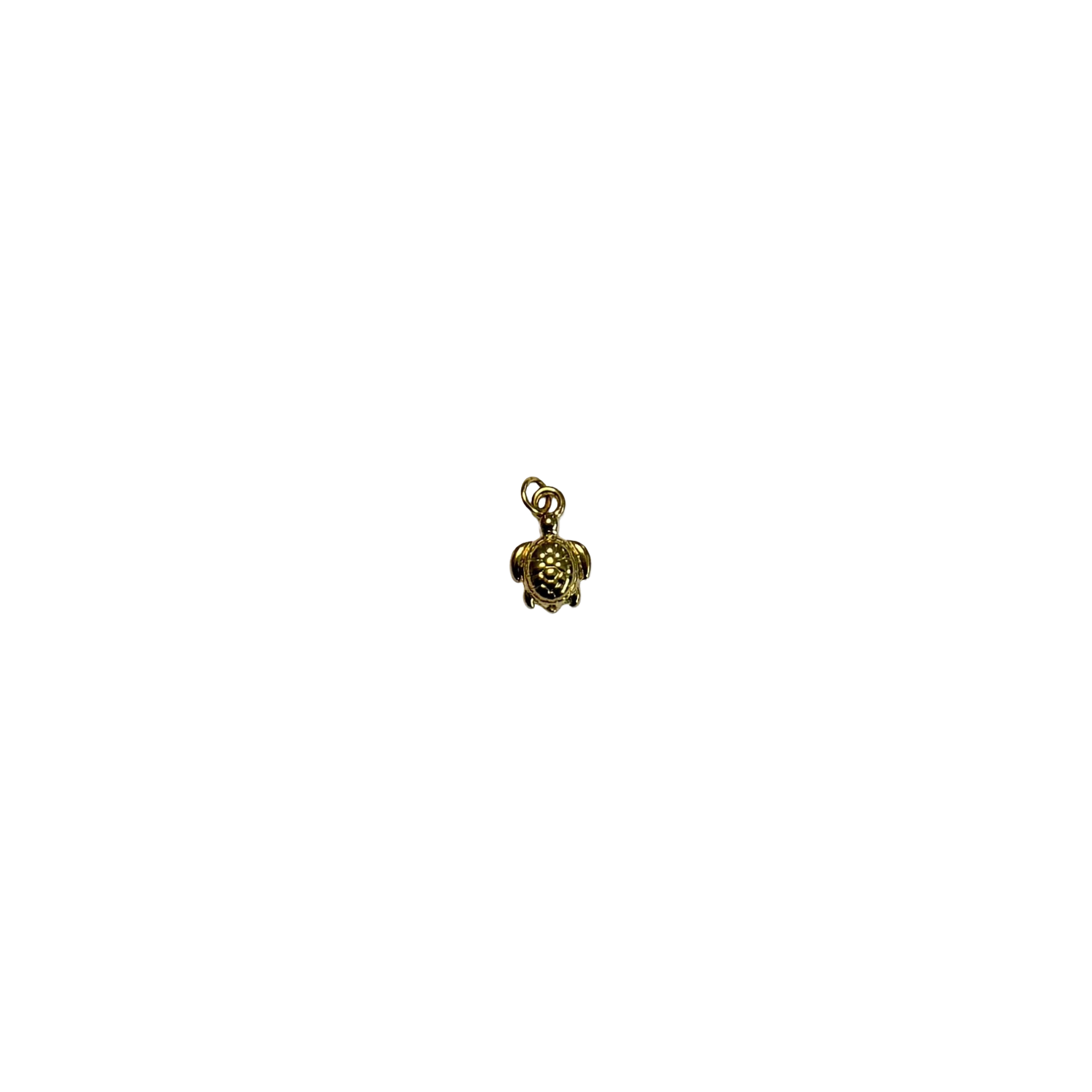 Tortoise charm