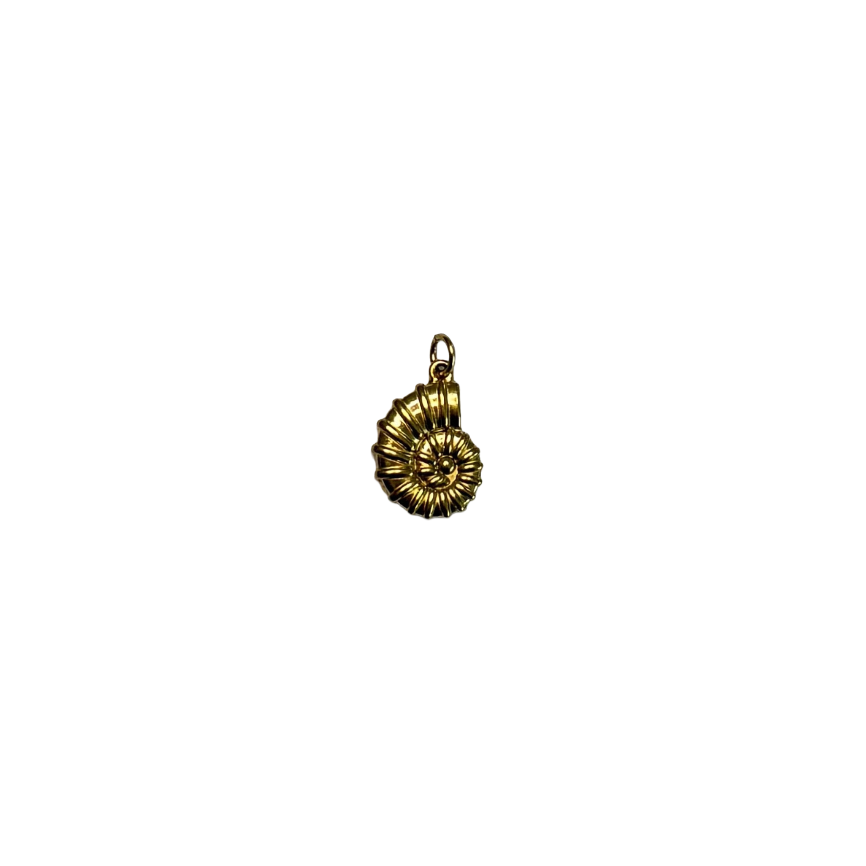 Small spiral shell charm