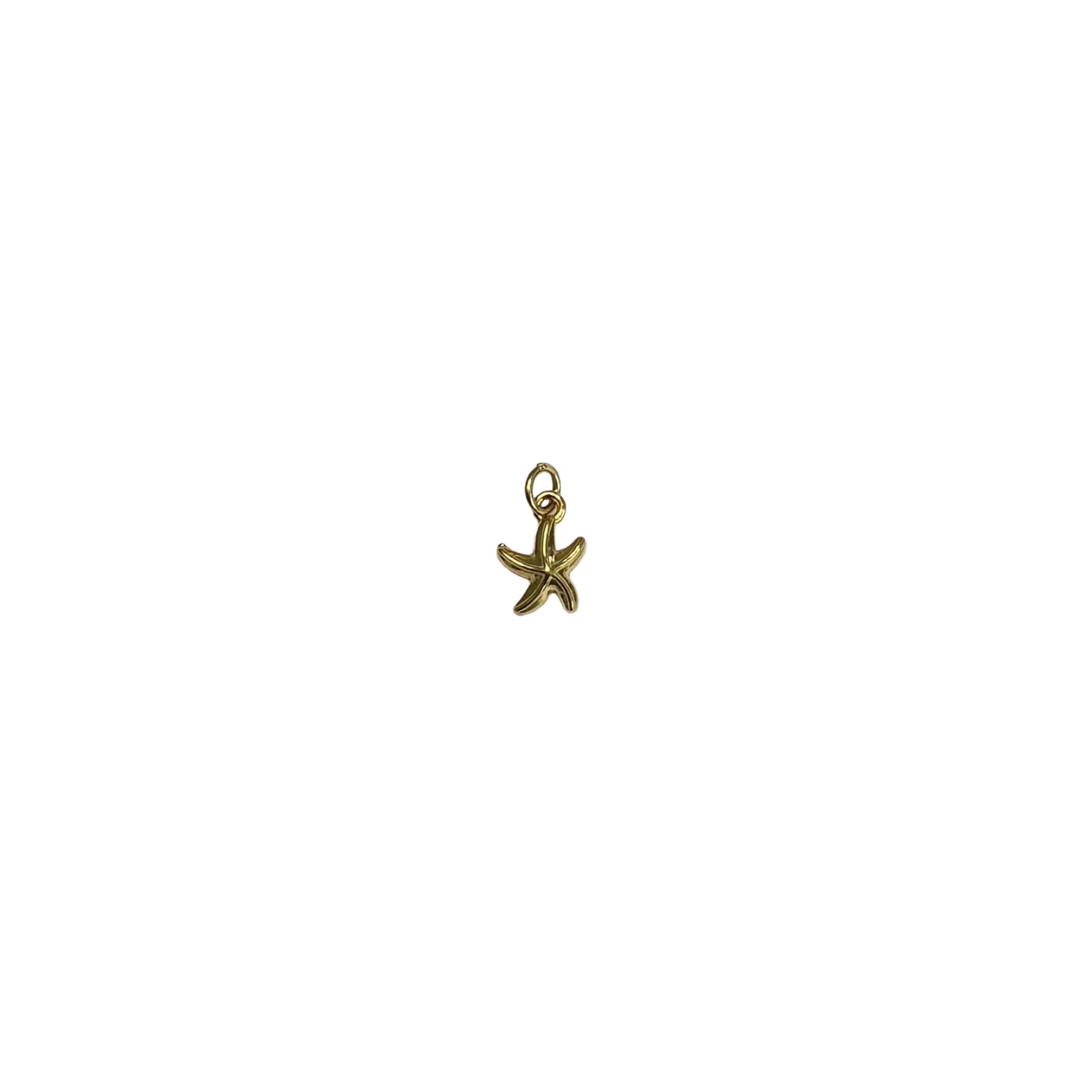 Mini star fish charm