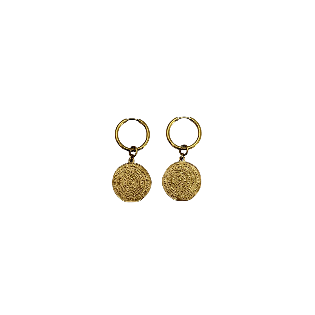 Desi earrings